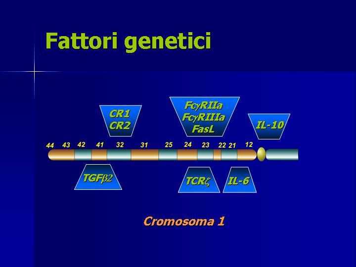 patogenesi3.jpg